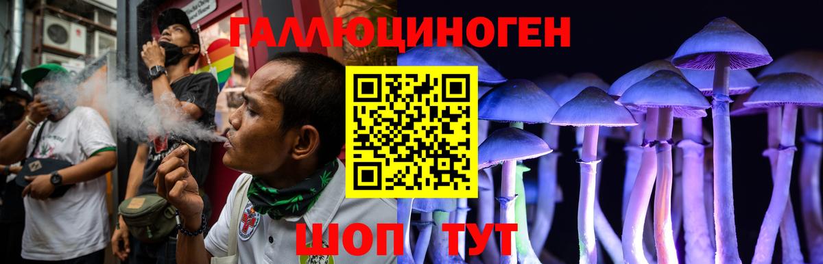 Галлюциногенные грибы MAGIC MUSHROOMS  Вход с VPN  Канаш 